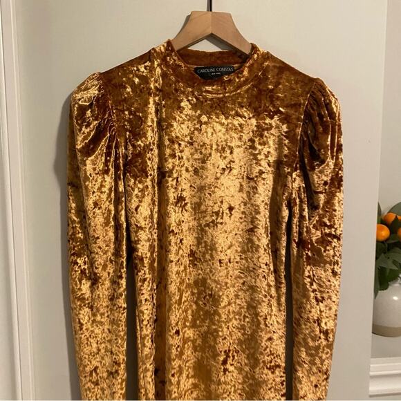 Caroline Constas Golden Tan Velour Velvet Sexy Long Sleeve Mini Dress Small - Picture 6 of 9